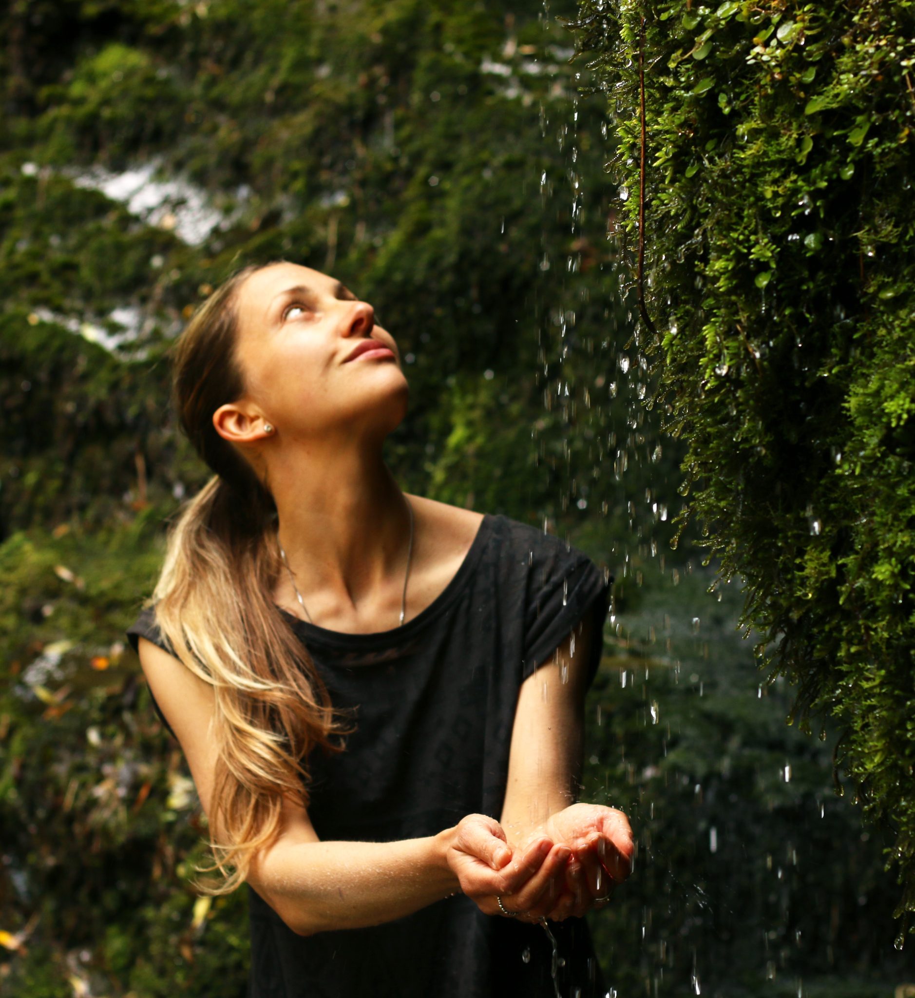 Dihydrotestosterone MyTests